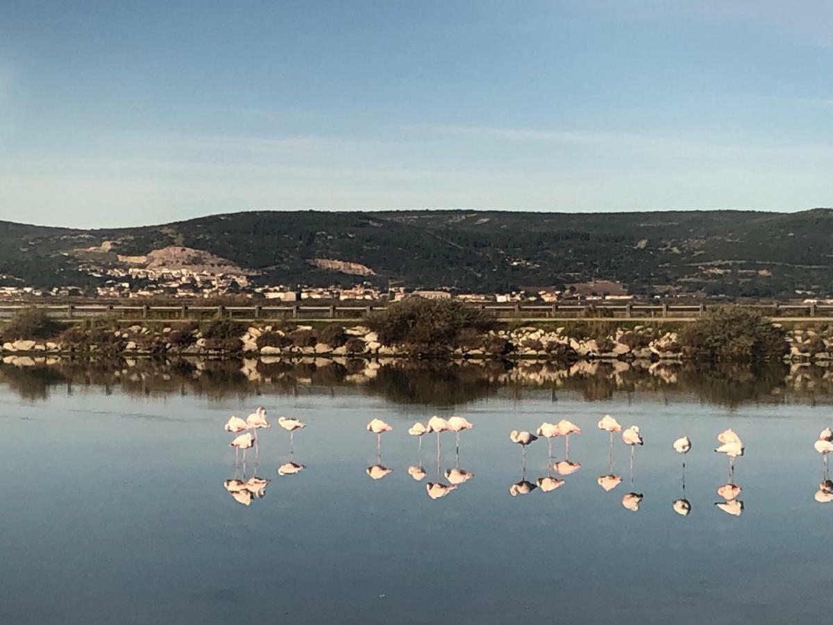 Flamants Roses 3 Фронтиньян Экстерьер фото